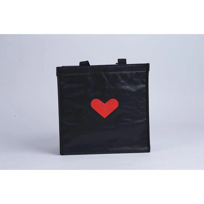 Fresh Insulated Pp Woven Cooler Bag