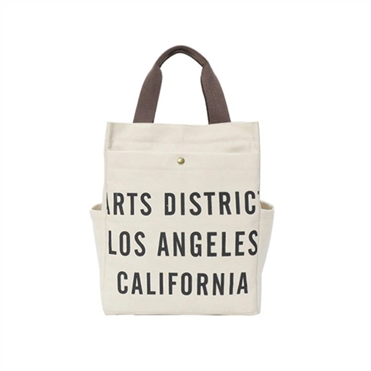 Mini Beautiful Canvas Handbag