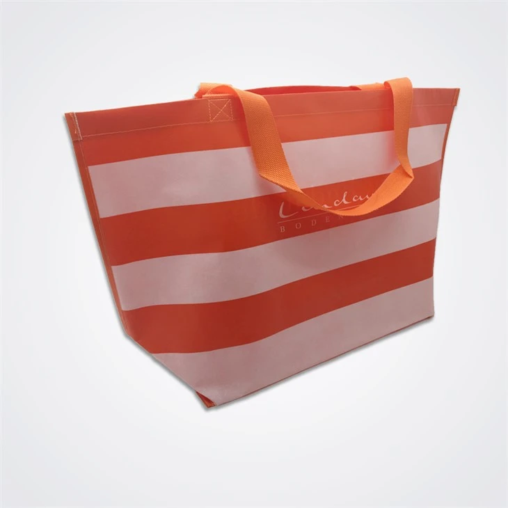 Beautiful Large Non Woven Bag